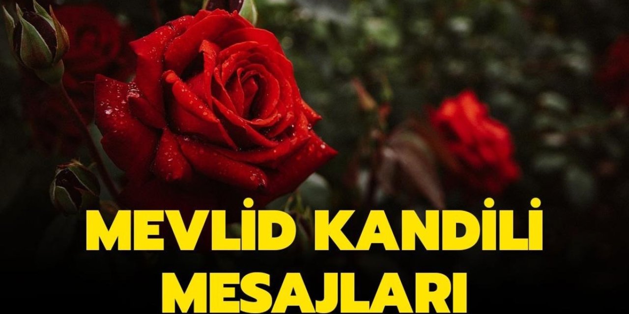 Dualı ve Anlamlı Mevlid Kandili Mesajları! 2024 Mevlid Kandili Mesajları ve Dualar