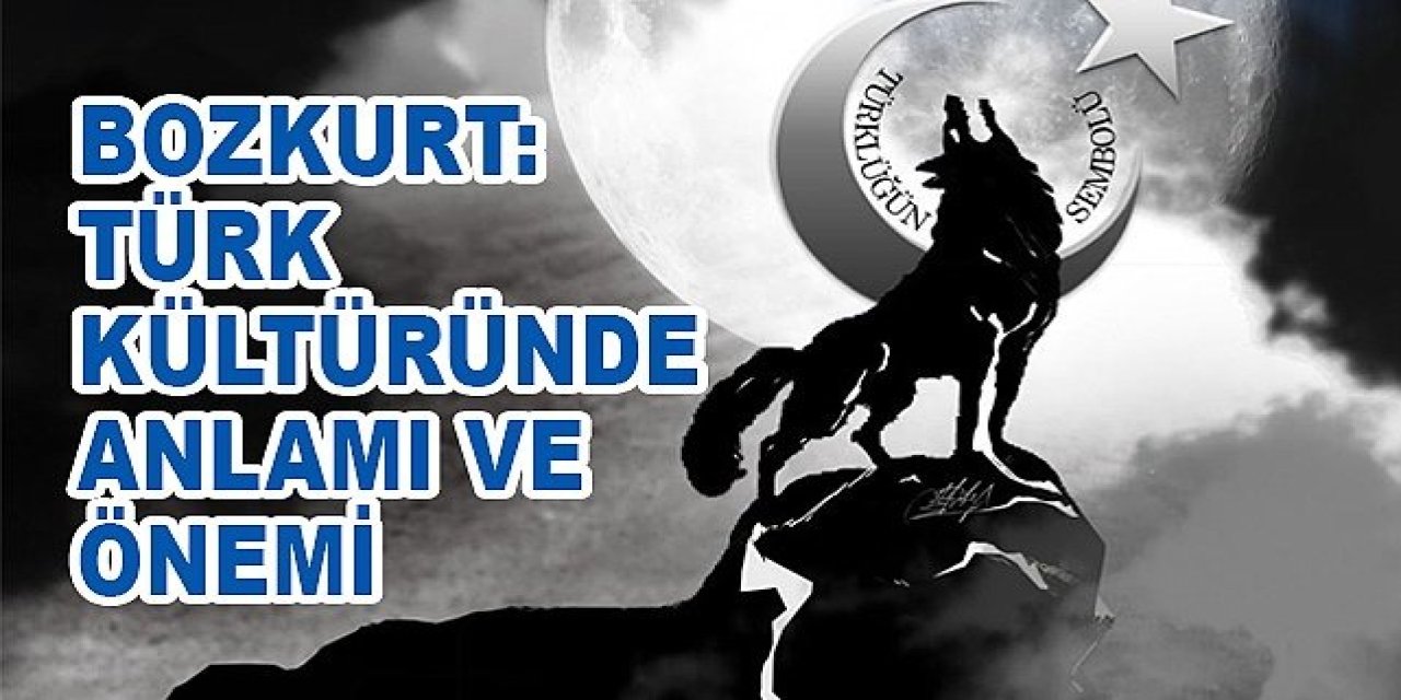 Bozkurt Türk'ün Sembolü, Türk Kültüründeki Anlamı: Tarihten ve Bugüne Tüm Detaylar..