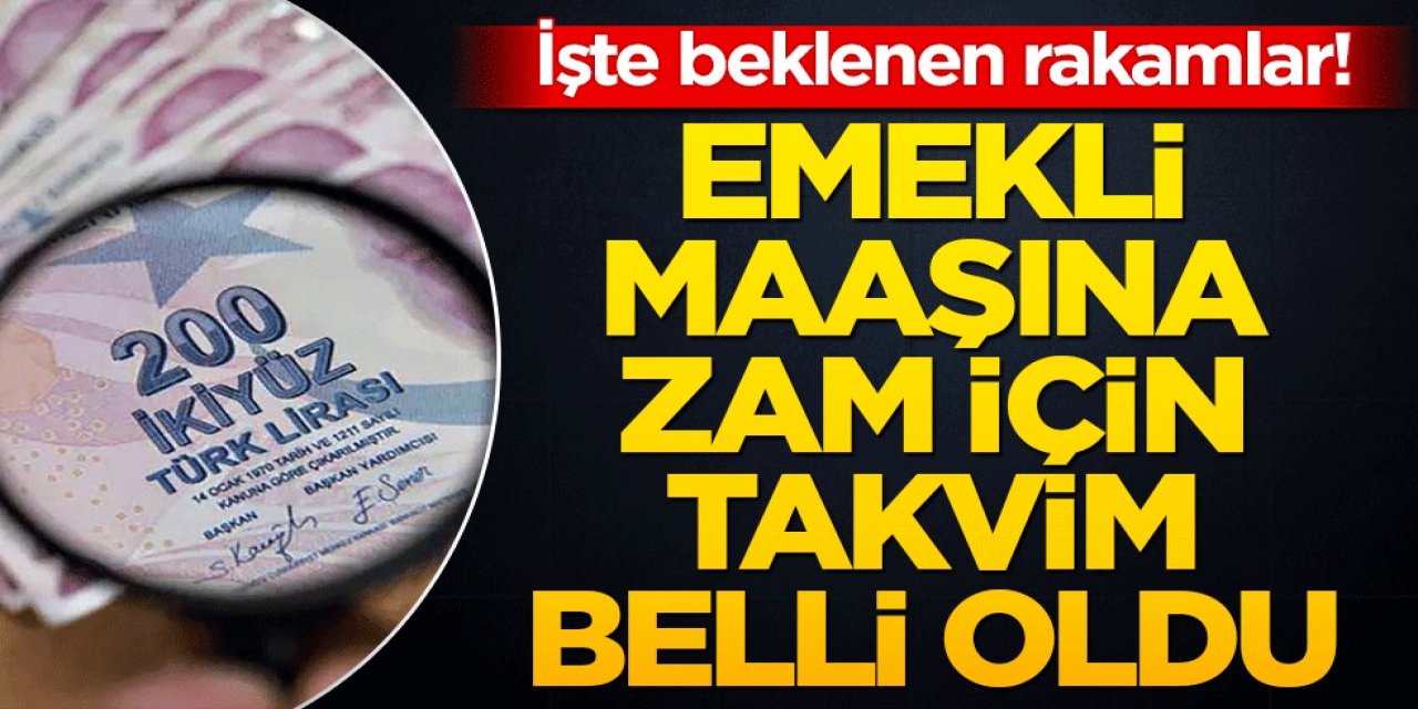 Emekli Maaşı Zammı İçin Geri Sayım Başladı! Ocak 2025’te Yeni Maaş Rakamları Açıklanacak