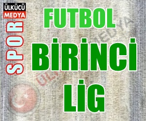 Futbol 1.Ligde Normal Sezon Sona Erdi