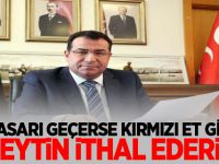 MHP'li Tanrıkulu: Tasarı Geçerse Kırmızı Et Gibi Zeytin İthal Ederiz