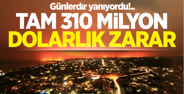 Güney Afrika’da 310 milyon dolarlık yangın!