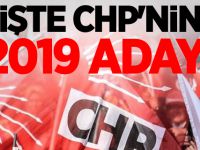 İşte CHP'nin 2019 adayı