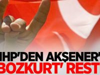 MHP'den Akşener'e 'Bozkurt' resti