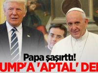 Trump'a 'aptal' dedi...