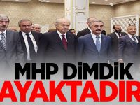 MHP dimdik ayaktadır