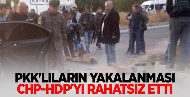 PKK'lıların yakalanması CHP-HDP'yi rahatsız etti