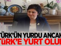 MHP'li Taşlıçay: Türk’ün yurdu ancak Türk’e yurt olur!