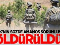 PKK'nın sözde Amanos sorumlusu öldürüldü