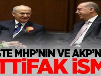 İşte MHP ve AKP'nin ittifak ismi