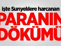 Suriyeliler İçin Kaç Lira Harcandı? İşte Dökümü