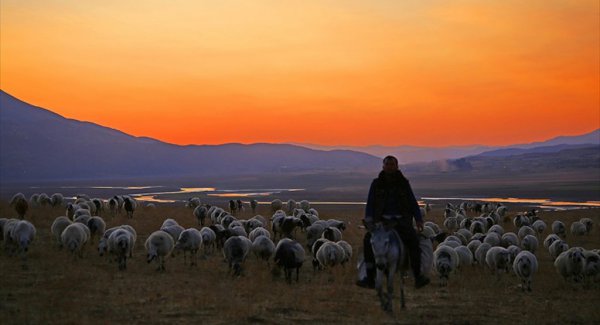 Doğu ve Güneydoğuda Yayla Sevinci Sürüyor