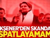 Meral Akşener'den skandal! İspatlayamam.