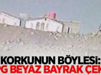 Korkunun böylesi: YPG beyaz bayrak çekti