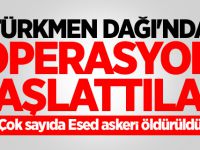 Muhalifler Türkmen Dağı'nda operasyon başlattı