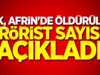 TSK, Afrin'de öldürülen terörist sayısını açıkladı