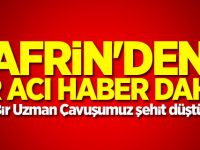 Afrin'den bir acı haber daha!