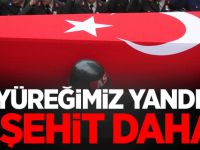 TSK'dan Açıklama: 1 şehit daha