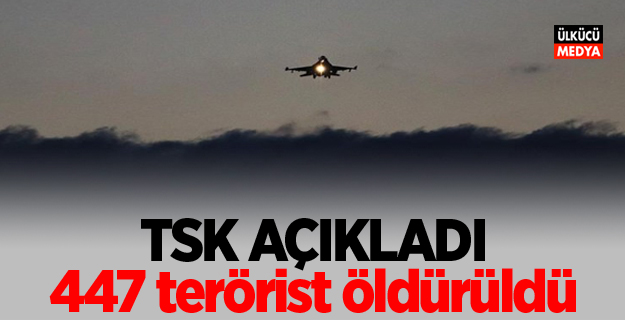 TSK açıkladı: 447 terörist öldürüldü