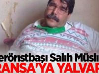 Teröristbaşı Salih Müslim Fransa'ya yalvardı