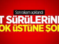 TSK öldürülen terörist sayısını açıkladı!