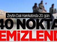 Zeytin Dalı'nda 20'nci Gün: 40 Nokta Temizlendi