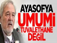 İlber Ortaylı: Ayasofya umumi tuvalethane değil