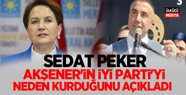 Sedat Peker: Meral Akşener'in İyi Parti’yi neden kurduğunu açıkladı!