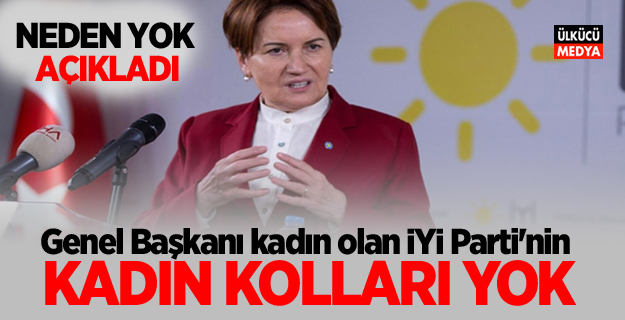 Genel Başkanı kadın olan İYİ Parti’nin Kadın Kolları yok