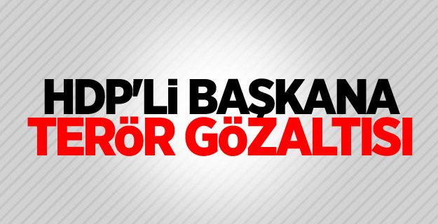 HDP'li başkan gözaltına alındı