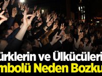 Türklerin ve Ülkücülerin Sembolü Neden Bozkurt?