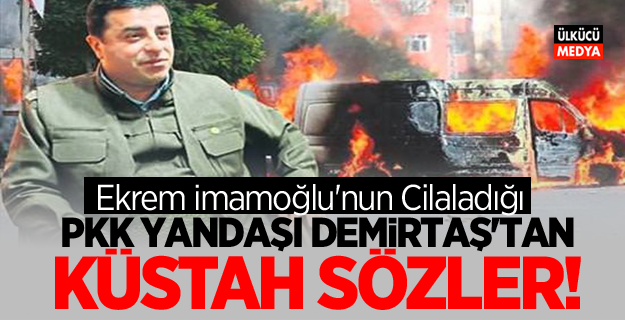 PKK Yandaşı Demirtaş'tan küstah sözler!