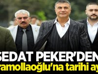 Sedat Peker'den Temel Karamollaoğlu'na tarihi ayar!