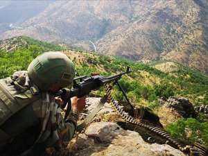 Tunceli'de Bir Haftada 11 Terörist Etkisiz Hale Getirildi