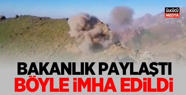 Bakanlık paylaştı: Böyle imha edildi