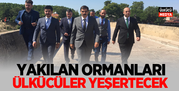 Ülkü Ocakları'dan Açıklama: Yakılan ormanları ülkücüler yeşertecek