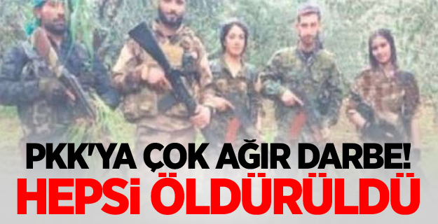 TSK ve MİT'ten ortak operasyon! Hepsi öldürüldü..