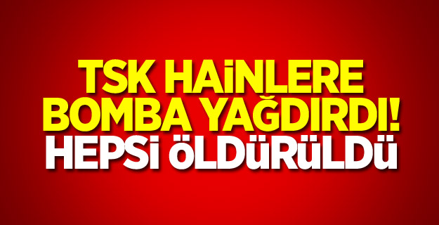 TSK hainlere bomba yağdırdı! Hepsi öldürüldü