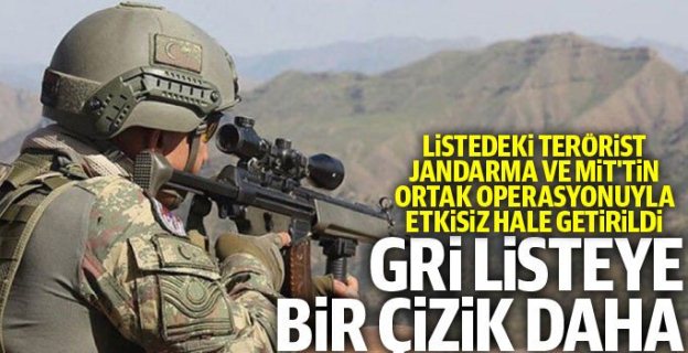 Jandarma ve MİT'ten operasyon: "Gri listedeki terörist etkisiz hale getirildi"