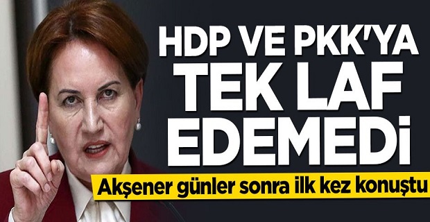 Meral Akşener HDP ve PKK'ya tek laf edemedi