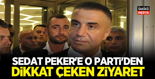 Sedat Peker'e O Parti'den Dikkat çeken ziyaret!