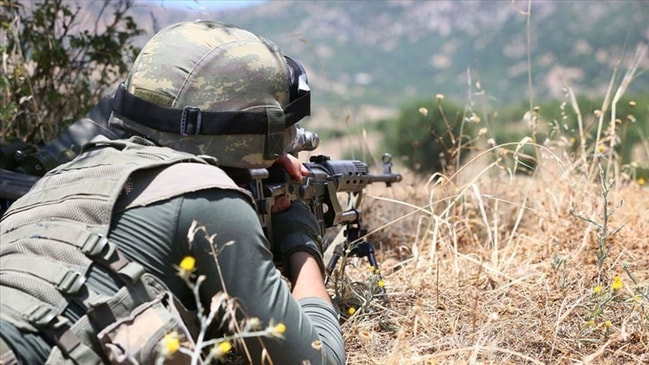 Hakkari ve Muş'ta PKK'ya darbe...