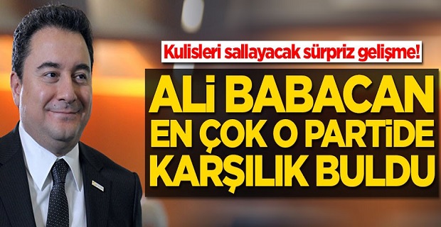 Kulisleri sallayacak gelişme! Ali Babacan en çok o partide karşılık buldu