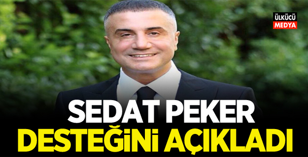 Sedat Peker Desteğini açıkladı