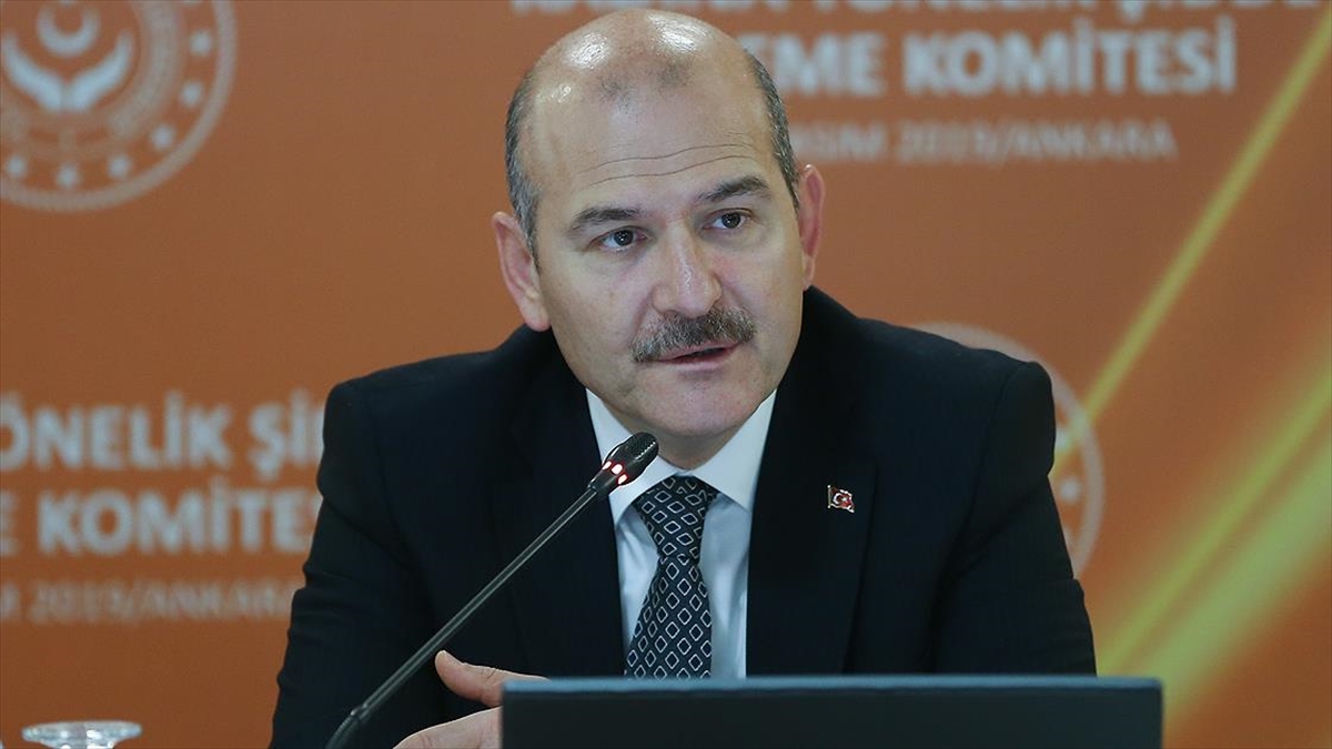 Soylu: Sınırda kalan Amerikalı, uçakla Amerika'ya sınır dışı edildi