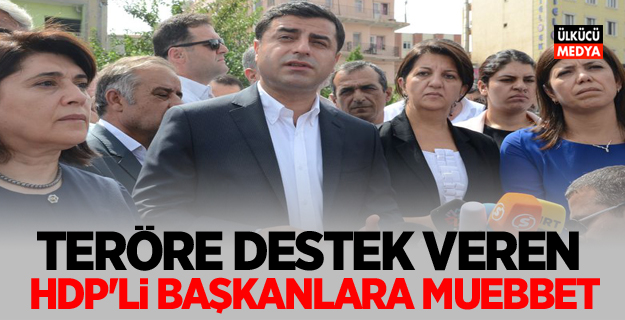 Teröre destek veren HDP'li başkanlara müebbet istemi