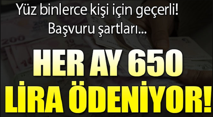 Devlet her ay 657 lira ödeyecek! İşte başvuru şartları...