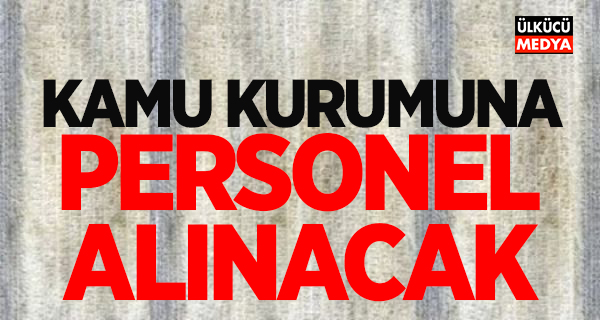 Kamu kurumuna sözleşmeli personel alınacak