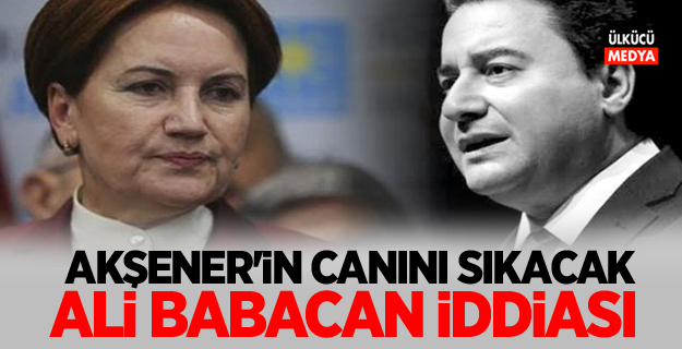 Meral Akşener'in canını sıkacak Ali Babacan iddiası