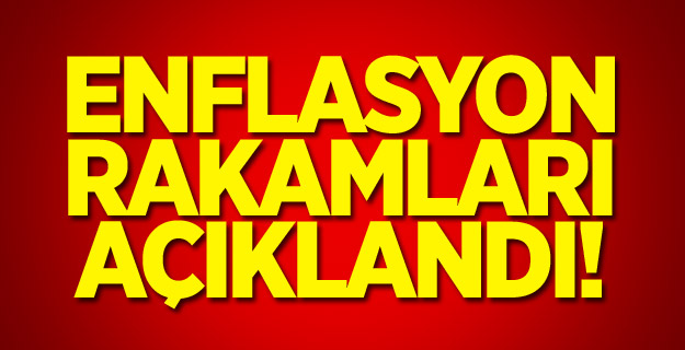 2019 Kasım ayı enflasyon oranı açıklandı